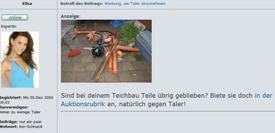 bild1.jpg