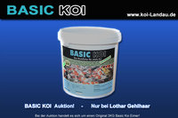 Koi-Basic01.jpg