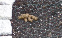 DSC01539.JPG