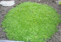 DSC01540.JPG