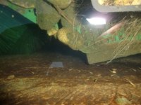 15.7.2010 026.jpg