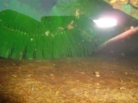 15.7.2010 027.jpg