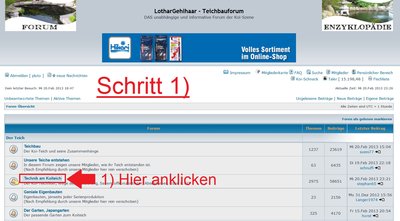 bild4.jpg
