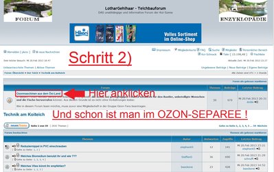 bild5.jpg