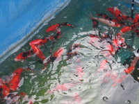 img2558s.jpg