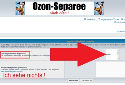 bild1.jpg