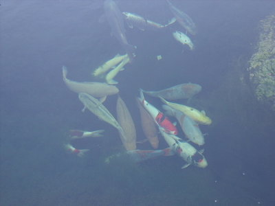 DSCF1051.JPG