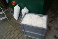 DSC03130-6.JPG