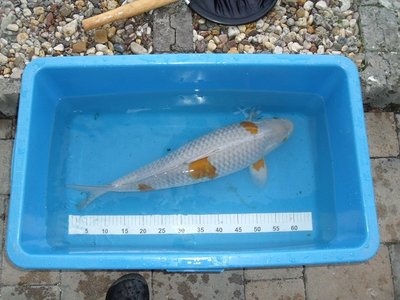 DSCF1180.JPG