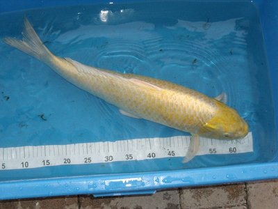 DSCF1182.JPG