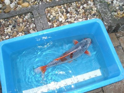 DSCF1189.JPG