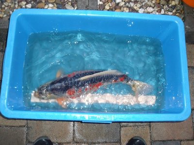 DSCF1202.JPG