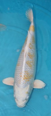 IMG_8856.JPG