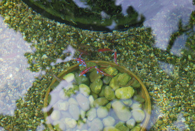 DSC_4494-kl.jpg
