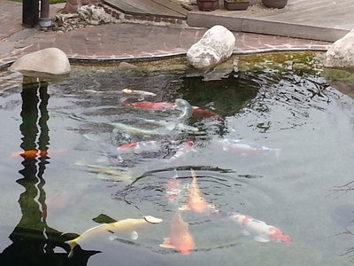 20130316_151057.jpg