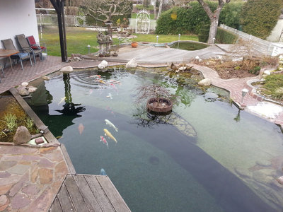 20130316_151045.jpg