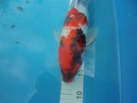 27.8.2010 009.jpg