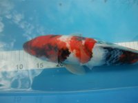 27.8.2010 011.jpg