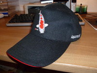 CAP 1.jpg