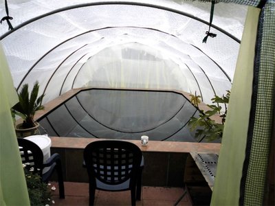 Folientunnel.JPG