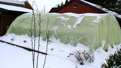 winter.JPG
