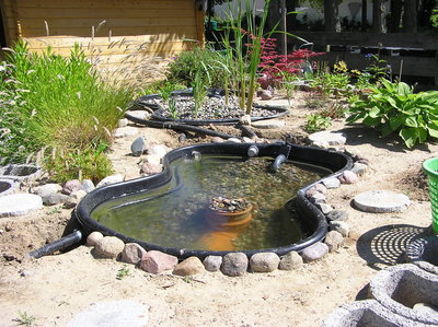 P17.JPG