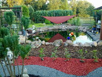 20082010301.jpg