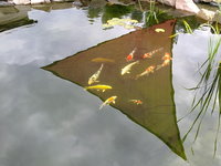 16082010284.jpg