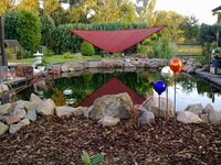 20082010297.jpg