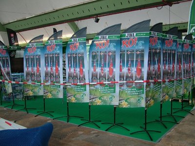 JBL0542.JPG