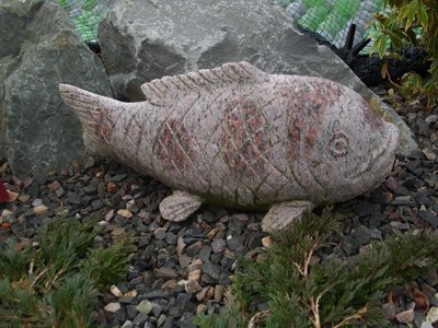 Granit Koi.JPG