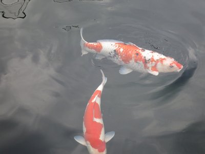 tn_IMG_0244.JPG