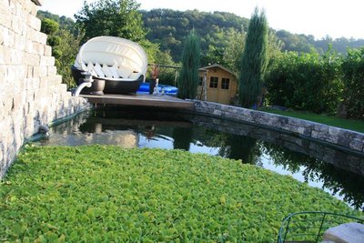 Teich August 2009 007.jpg