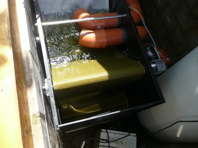 P1070635.jpg