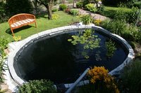 DSC07235.JPG