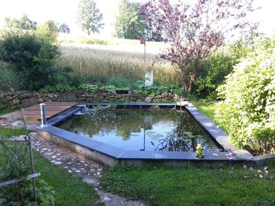 Neuer Teich.jpg