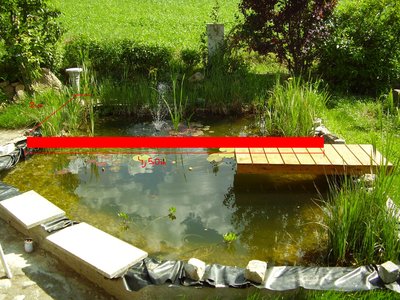 Alter Teich.JPG