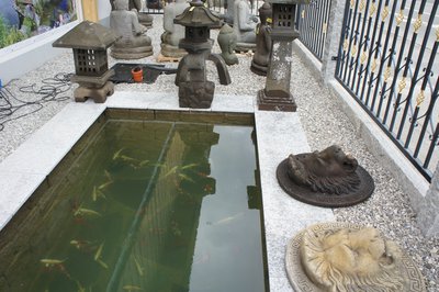 DSC00020.JPG
