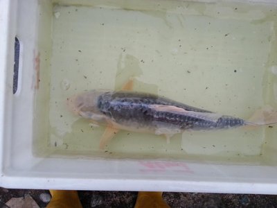 20130420_182531.jpg
