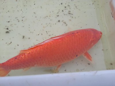 20130420_184055.jpg