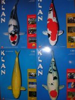 KLAN2008.jpg