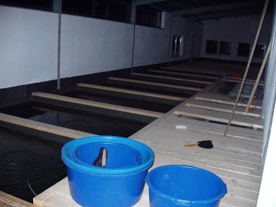 Bild 077.jpg