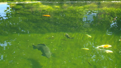DSC02379.JPG
