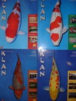KLAN2007.jpg