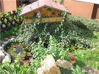 2005 669.jpg