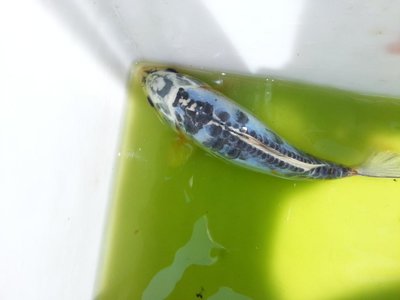 20130622_121409.jpg