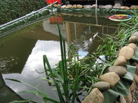 IMG_4747.jpg