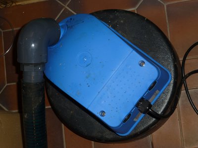 P1000444.JPG