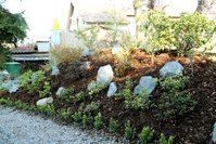IMG_4675.JPG
