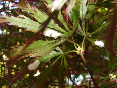 DSC01151.JPG